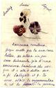 Caja 1 [Carpeta]