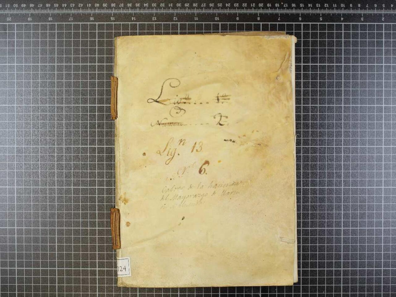 Libro de cobro de la Hacienda de los Señores Marines de Hacienda, cuyo señor es Don Matias Marín de Resende y Francia, Conde y señor del Bureta. Contiene noticias diversas y la memoria de la Hacienda [Documento]